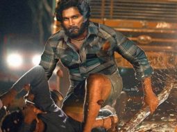 Box Office – Pushpa (Hindi) continues to fight it out, steps into fifth week with good collections