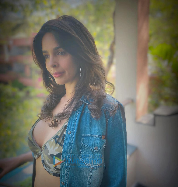 mallika sherawat 2 11