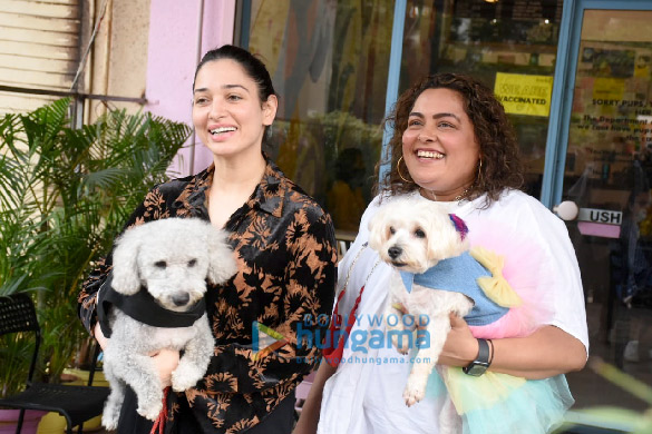 photos tamannaah bhatia snapped with her pet in versova 02 1