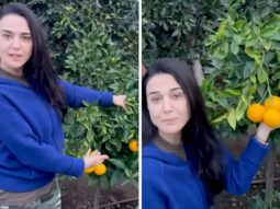 Preity Zinta shows off her orange harvest in latest video; says, “After oranges from Nagpur these oranges are my favourite”