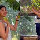Shilpa Shetty gets hit by star fruits as she goes fruit plucking in her backyard