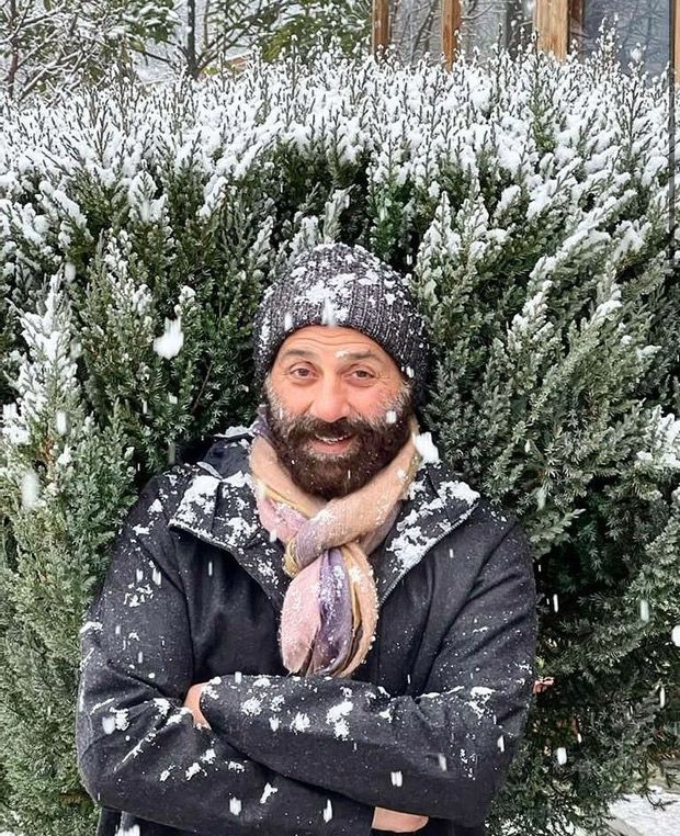Sunny Deol enjoyssnow-filled New Year in Manali, see photos and video Sunny Deol enjoyssnow-filled New Year in Manali, see photos and video
