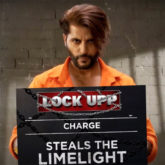 Actor Karanvir Bohra is the fifth contestant of Kangana Ranaut's reality show Lock Upp