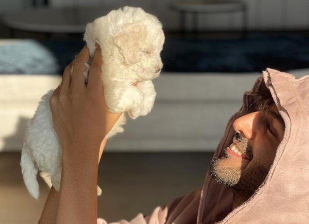 "Love is a four-legged word" - Kartik Aaryan shares photo with his pup Katori; Shehzada co-star Kriti Sanon comments "Love is a four-legged word" - Kartik Aaryan shares photo with his pup Katori; Shehzada co-star Kriti Sanon comments