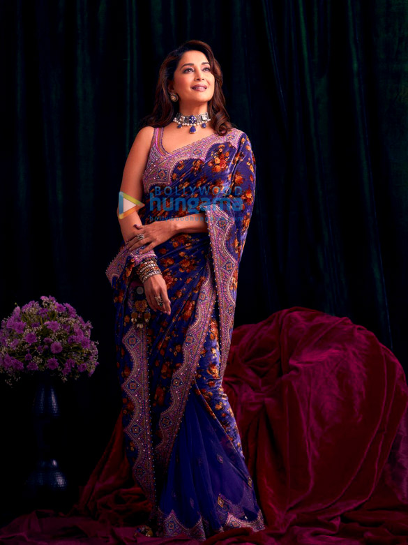 madhuri dixit 1 16