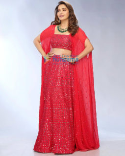 Celebrity Photos of Madhuri Dixit