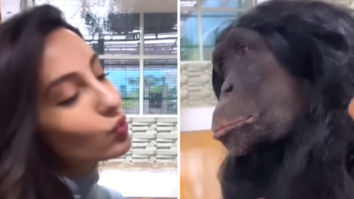 Nora Fatehi has a pout-off with a chimpanzee; feeds a hyena while on vacation in Dubai, see videos