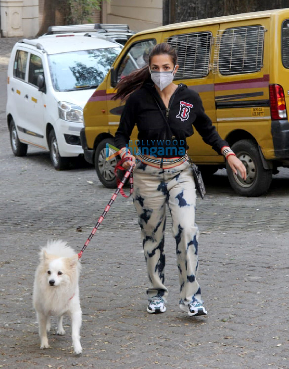 photos malaika arora spotted in bandra 1 55