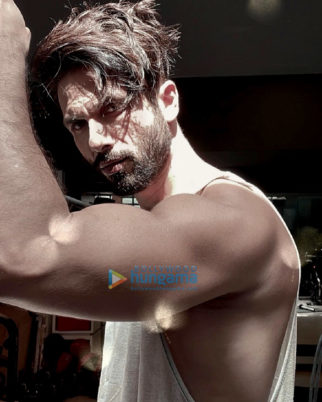 Celeb Photos Of Shahid Kapoor