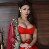 Priyanka Chopra Hot Porn - Sherlyn Chopra granted protection bail by Supreme Court in Porn Film Racket  Case : Bollywood News - Bollywood Hungama