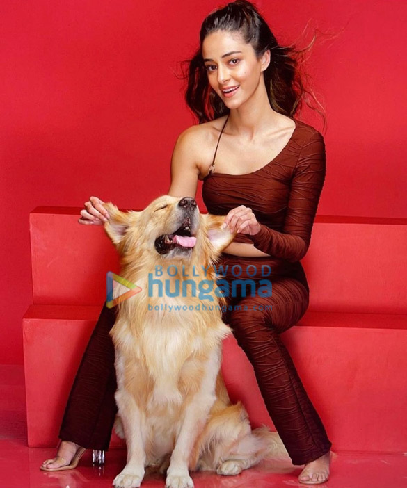ananya panday 2 90