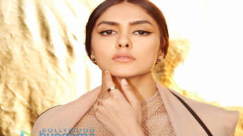 Celebrity Photos of Mrunal Thakur