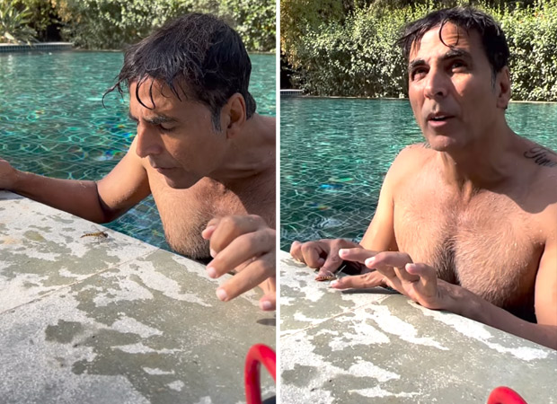 Akshay Kumar saves a dragonfly while swimming in the pool; Twinkle Khanna praises him Akshay Kumar saves a dragonfly while swimming in the pool; Twinkle Khanna praises him