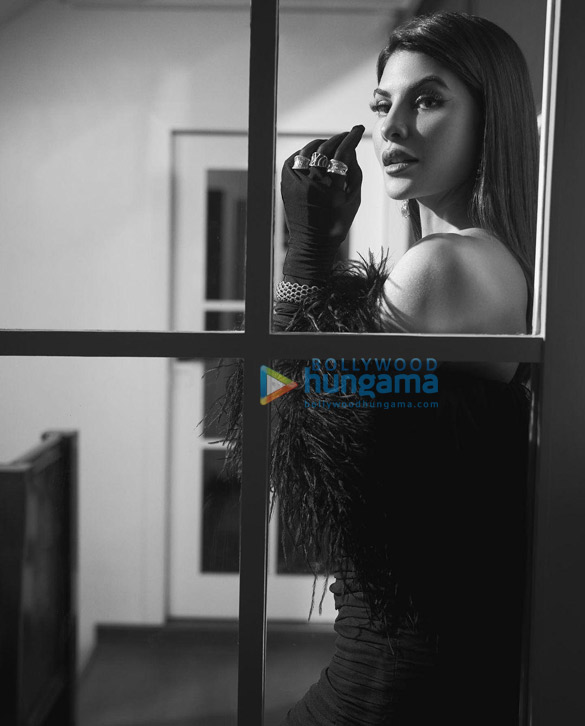 jacqueline fernandez 6 9