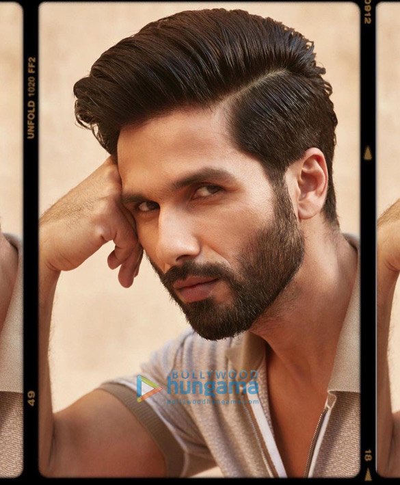 shahid kapoor 908 1