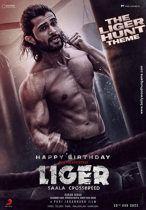 liger 11