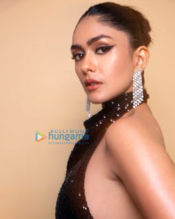 Celebrity Photos of Mrunal Thakur