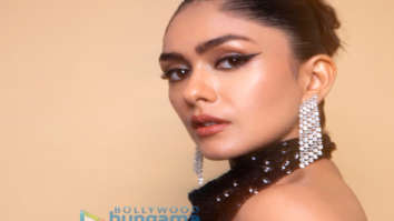 Celebrity Photos of Mrunal Thakur