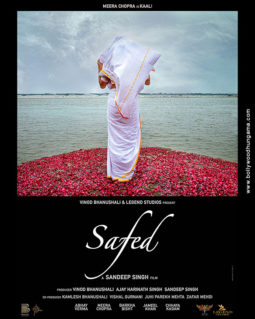 First Look Of Safed