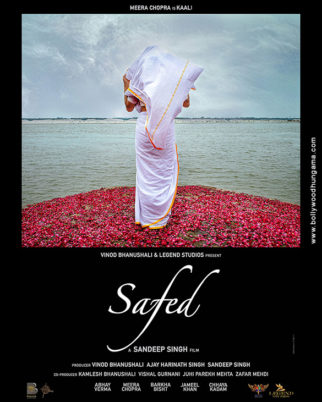 First Look Of Safed