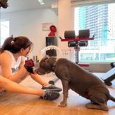 Samantha Ruth Prabhu takes down a troll who said she would 'die alone with her cats and dogs'