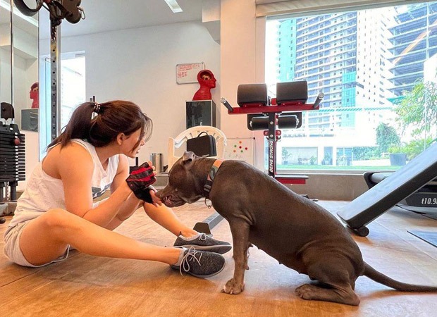 Samantha Ruth Prabhu takes down a troll who said she would 'die alone with her cats and dogs'