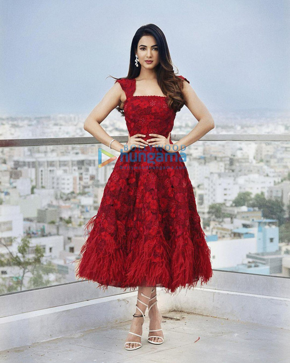 sonal chauhan 113