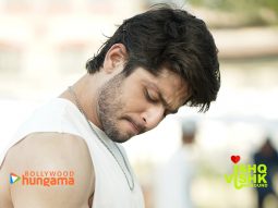 Ishq Vishk Rebound Wallpapers