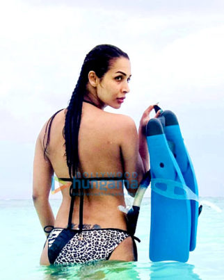 Celeb Photos Of Malaika Arora