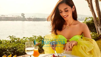 Celebrity Photos of Manushi Chhillar