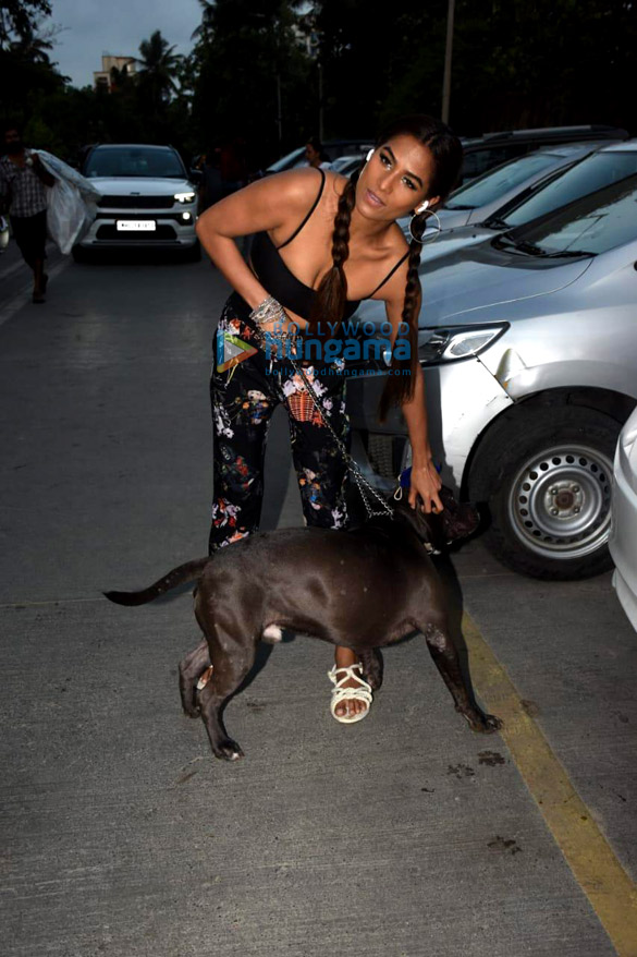 photos poonam pandey spotted with her pet in juhu 5