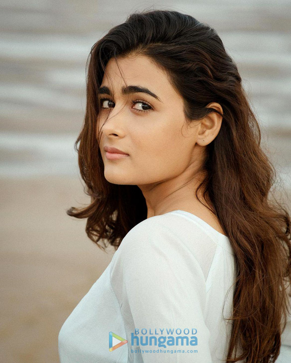 shalini pandey 3 19