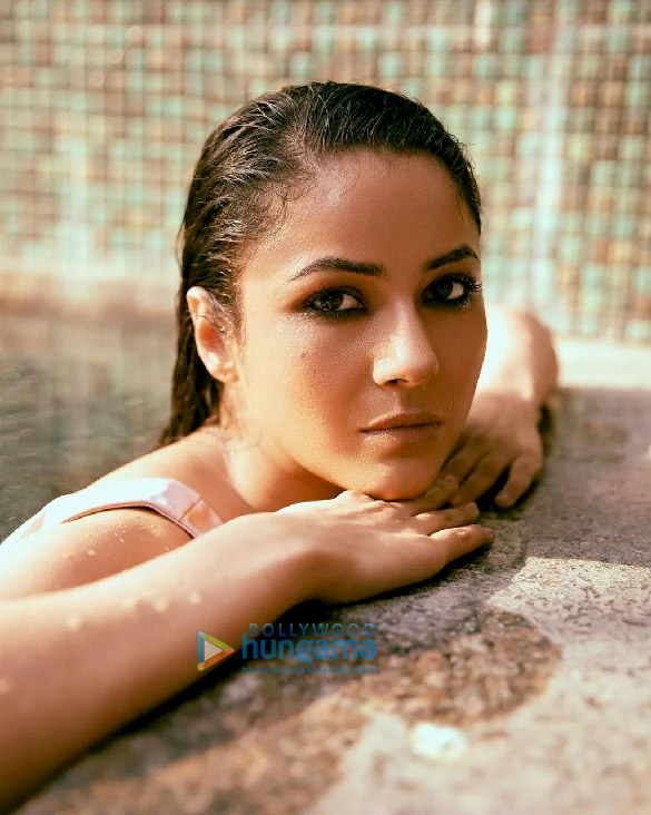 shehnaaz gill 1 13