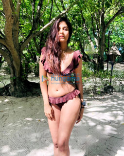 Celeb Photos Of Shreya Dhanwanthary