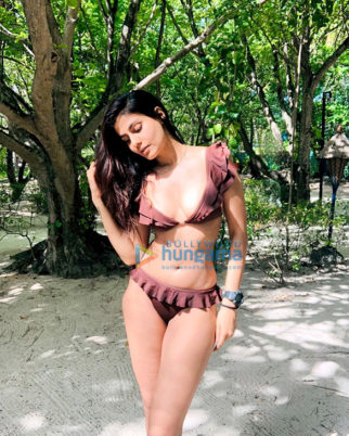 Celeb Photos Of Shreya Dhanwanthary