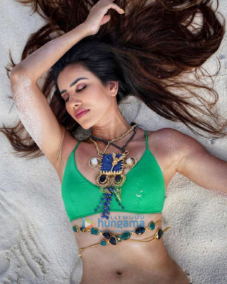 Celebrity Photos of Sonnalli Seygall
