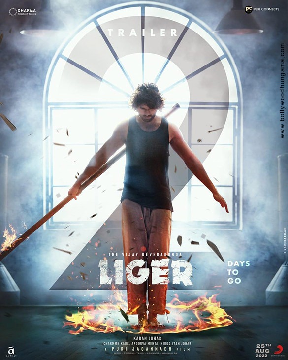 liger 17