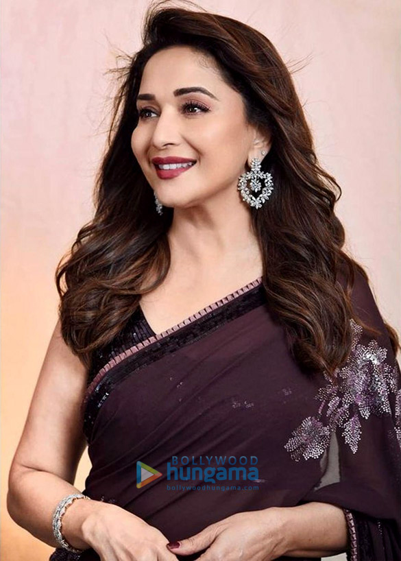 madhuri dixit 1 31