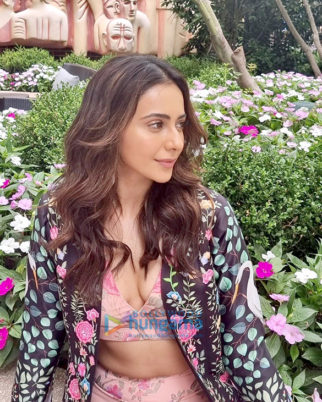 Celeb Photos Of Rakul Preet Singh