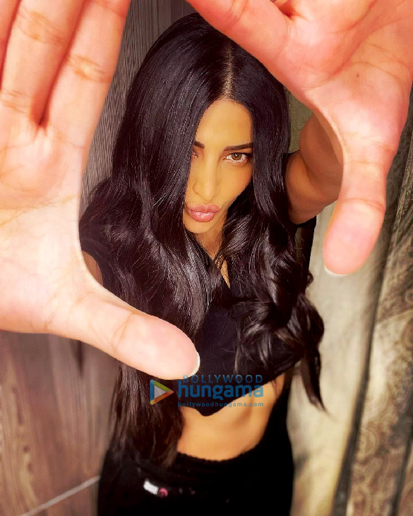 shruti haasan 2 6