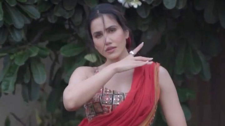 Sonnalli Seygall shows off her elegant moves in red saree - Bollywood ...