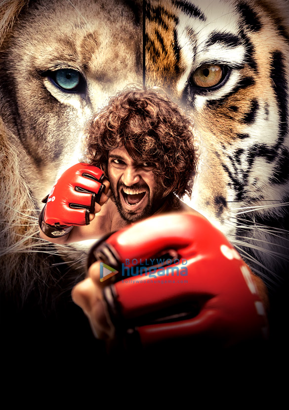 liger 1 13