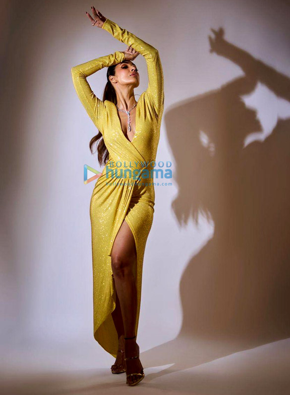 malaika arora 3 102