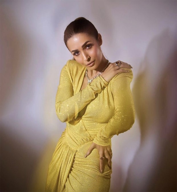 malaika arora bold dress