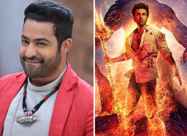 RRR actor Junior NTR to grace pre-release event of Brahmastra as a Chief Guest in Hyderabad; announces with THIS video