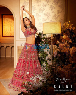 Celebrity Photos of Vaani Kapoor