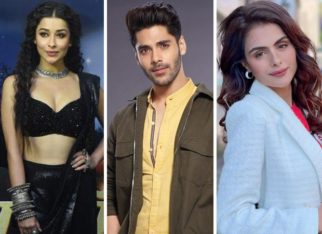 Nyrraa Banerji, Simba Nagpal and Priyanka Chahar Choudhary talk about their plans for Janmashtami