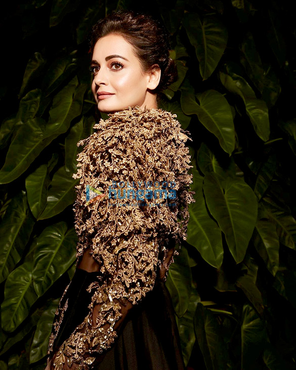 dia mirza 1 19