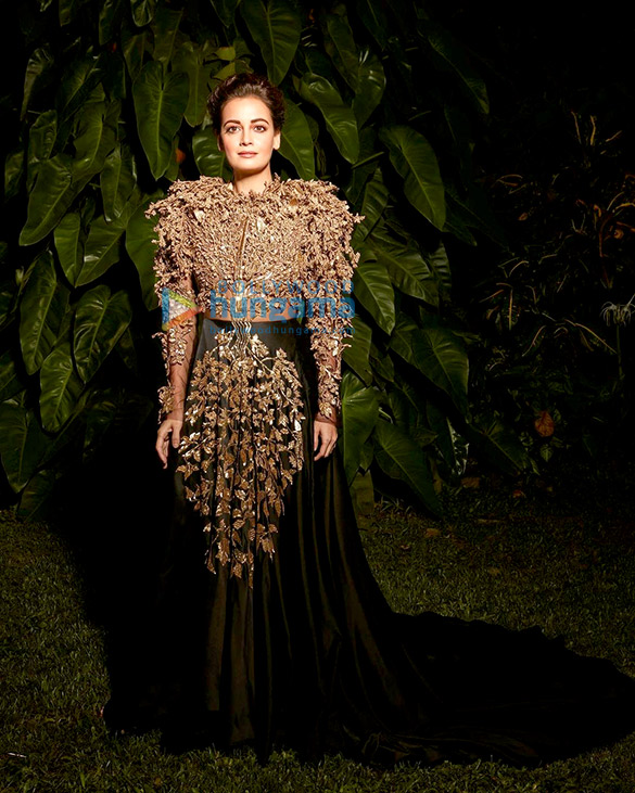 dia mirza 4 12