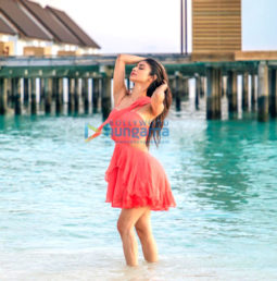 Celeb Photos Of Mouni Roy
